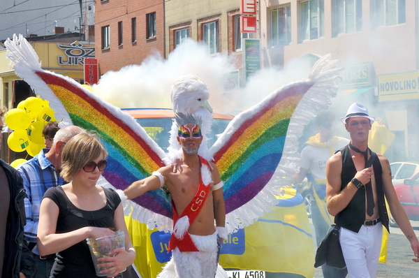 CSD_Demo   083.jpg
